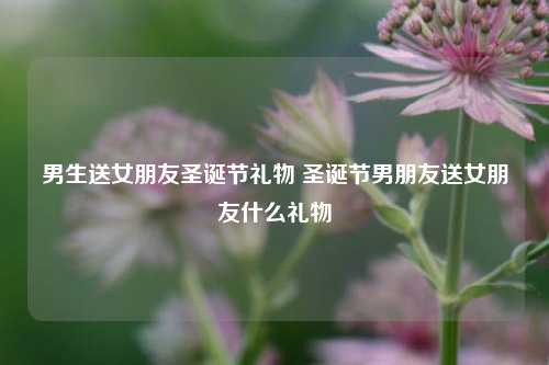 男生送女朋友圣诞节礼物 圣诞节男朋友送女朋友什么礼物