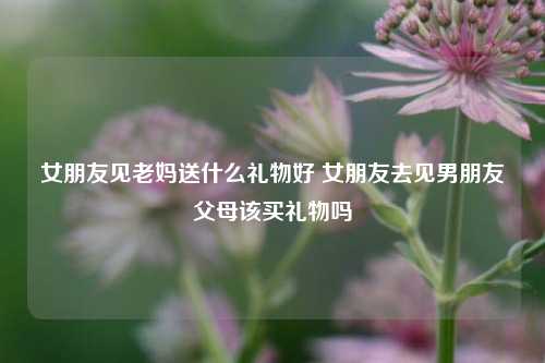 女朋友见老妈送什么礼物好 女朋友去见男朋友父母该买礼物吗